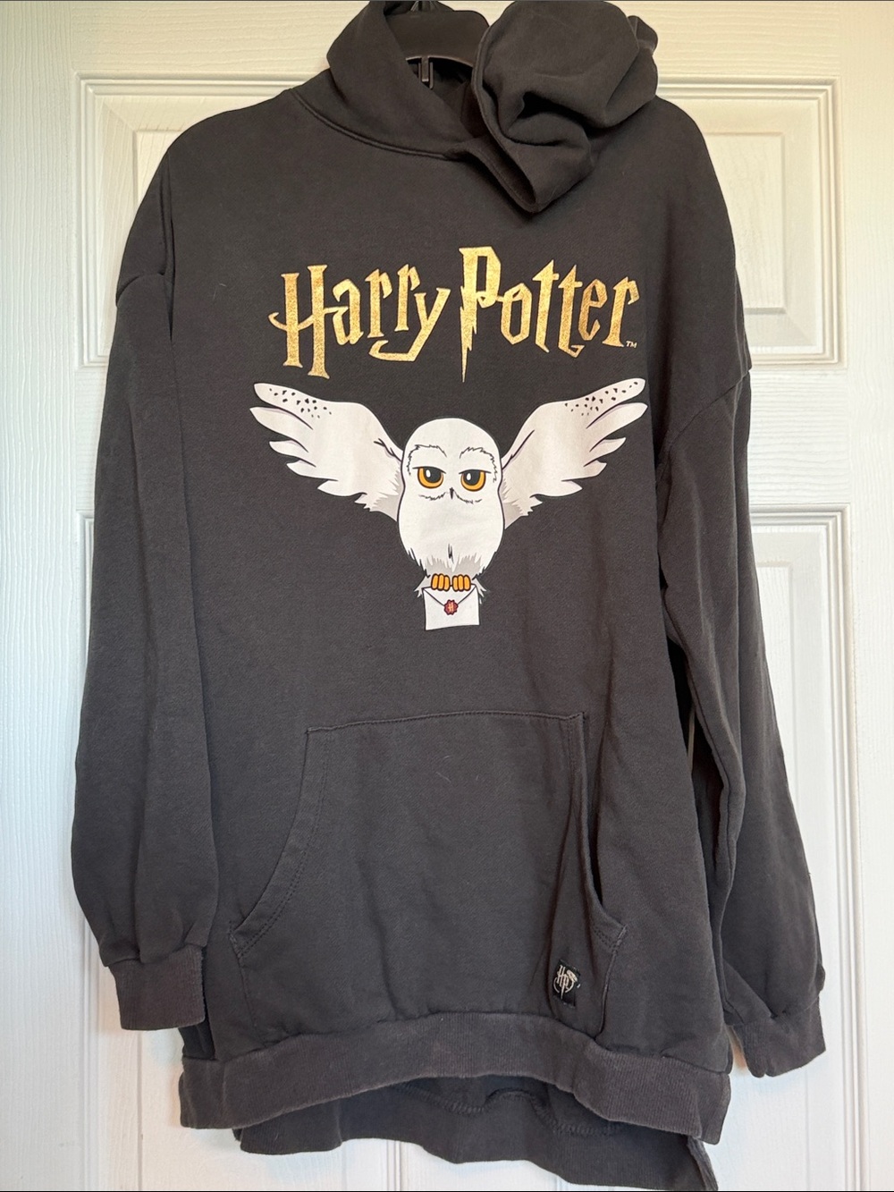 H&M x Harry Potter Black hooded sweatshirt with Hedwig Owl Graphic